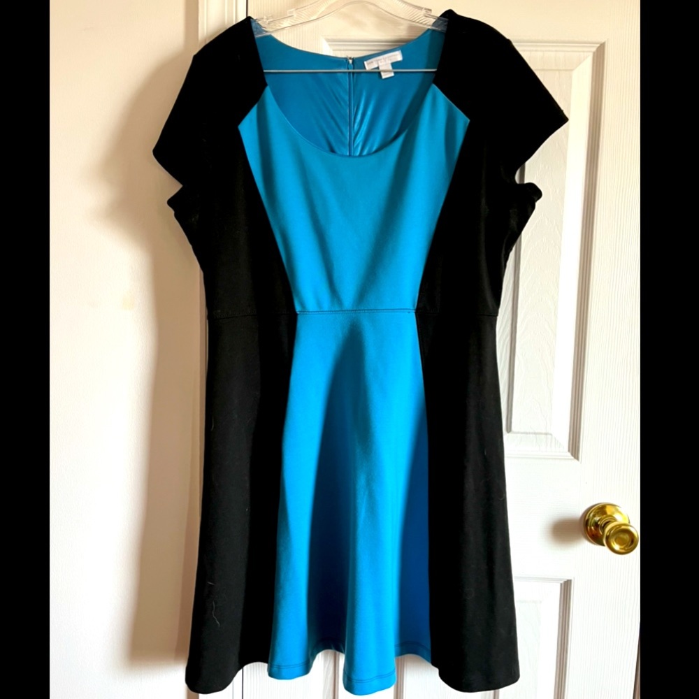 New York & Company Blue and Black Dress